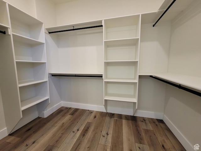 walk in closet featuring dark wood finished floors