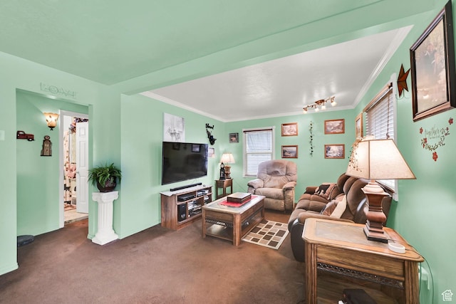 162 Mond St, Ogden, UT 84404 - carpeted living area with ornamental molding