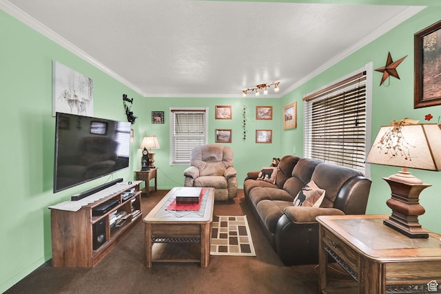 162 Mond St, Ogden, UT 84404 - carpeted living room featuring rail lighting, ornamental molding, and baseboards