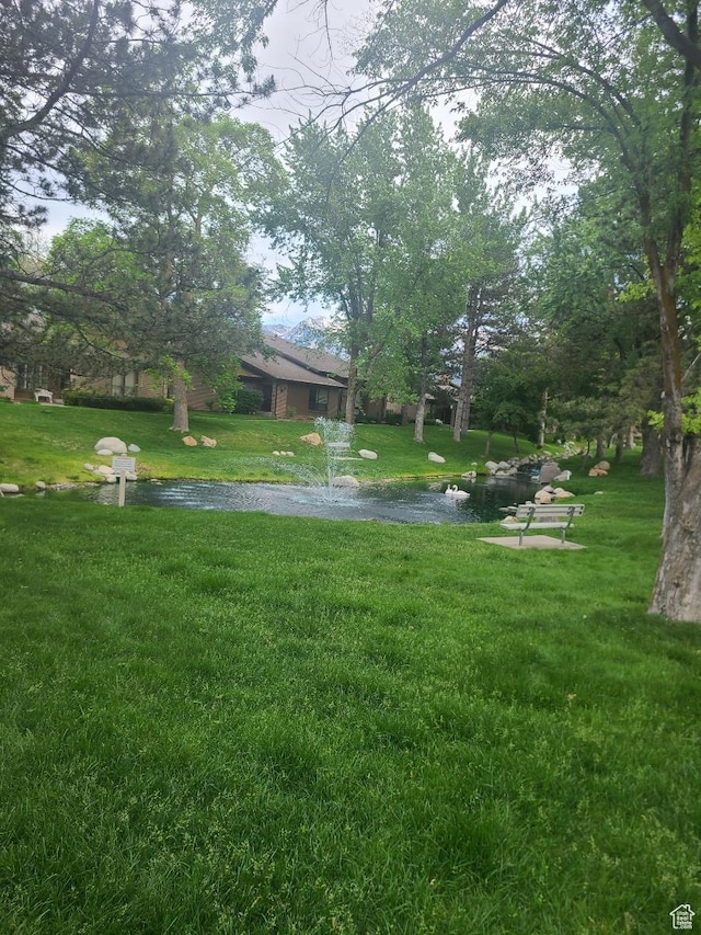1605 E 6535 S, Murray, UT 84121 - view of grassy yard