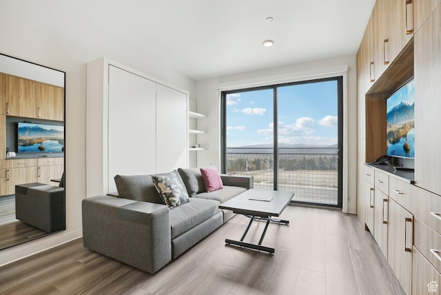 2670 Canyons Resort Dr Unit 127, Park City, UT 84098 - living area featuring light wood-style flooring