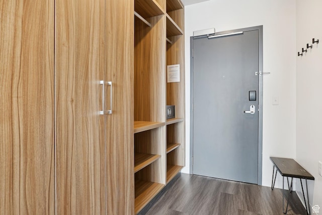 2670 Canyons Resort Dr Unit 127, Park City, UT 84098 - walk in closet featuring wood finished floors