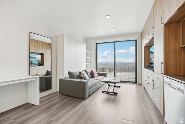 2670 Canyons Resort Dr Unit 127, Park City, UT 84098 - living room with light wood finished floors