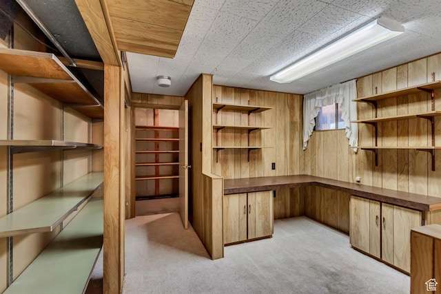 6796 S Nye Dr, Cottonwood Heights, UT 84121 - view of storage