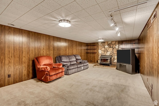 6796 S Nye Dr, Cottonwood Heights, UT 84121 - living area featuring wood walls, rail lighting, and carpet