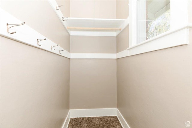 interior space with carpet flooring