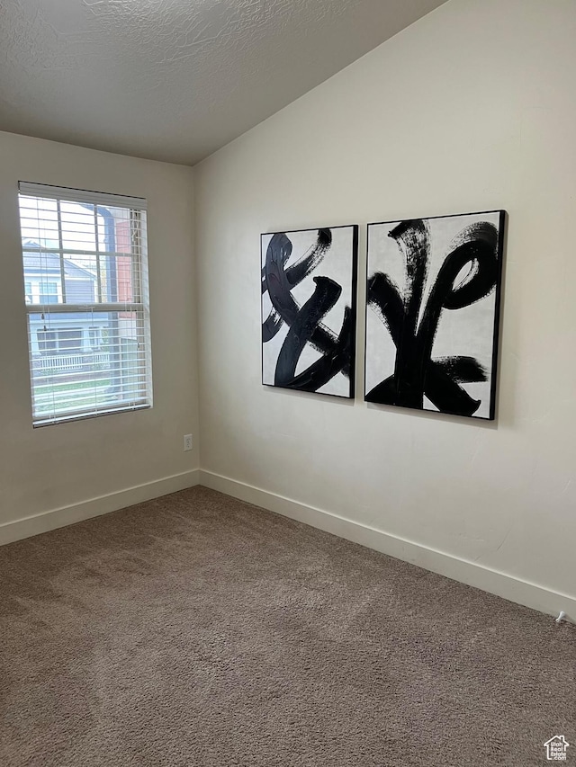 carpeted empty room with baseboards and a textured ceiling