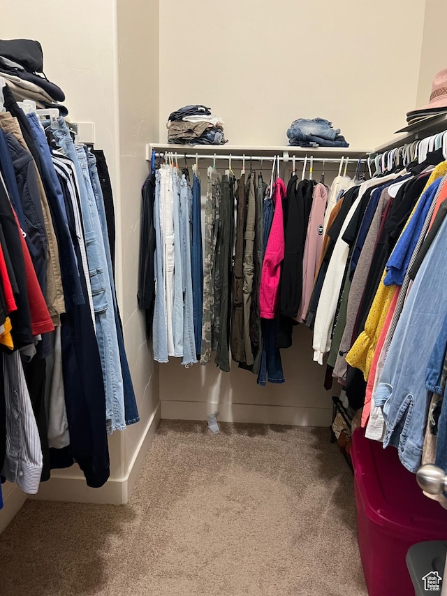 walk in closet featuring carpet flooring