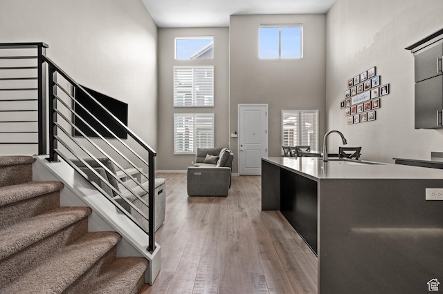15084 S Wild Horse Way, Bluffdale, UT 84065 - kitchen featuring light countertops, a sink, light wood-type flooring, a high ceiling, and open floor plan