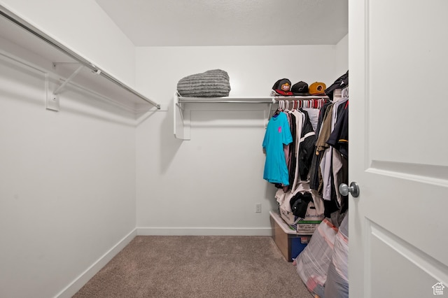 15084 S Wild Horse Way, Bluffdale, UT 84065 - spacious closet with carpet flooring