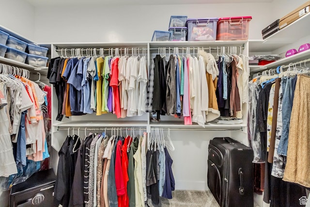 spacious closet with carpet flooring