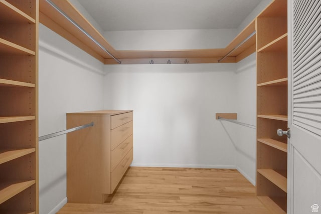 813 N Northview Dr E, Salt Lake City, UT 84103 - spacious closet with light wood-style flooring