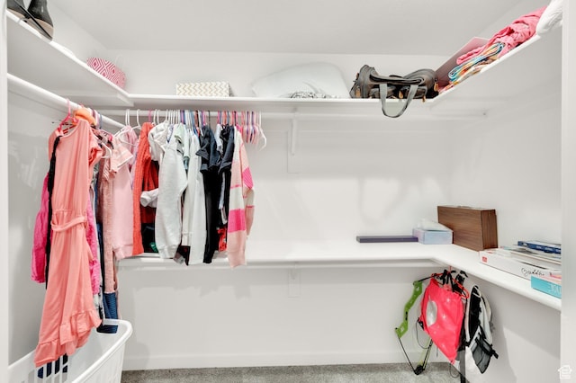 1131 S Red Cliff Dr, Santaquin, UT 84655 - view of walk in closet