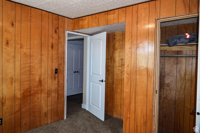 5859 E Ashley Creek Rd S, Vernal, UT 84078 - unfurnished bedroom with dark carpet and wood walls