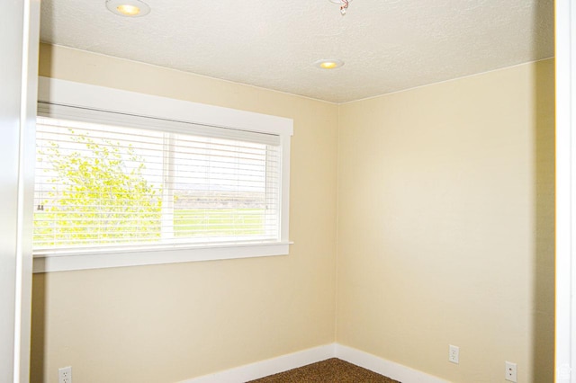 5859 E Ashley Creek Rd S, Vernal, UT 84078 - unfurnished room featuring baseboards, a textured ceiling, recessed lighting, and carpet floors