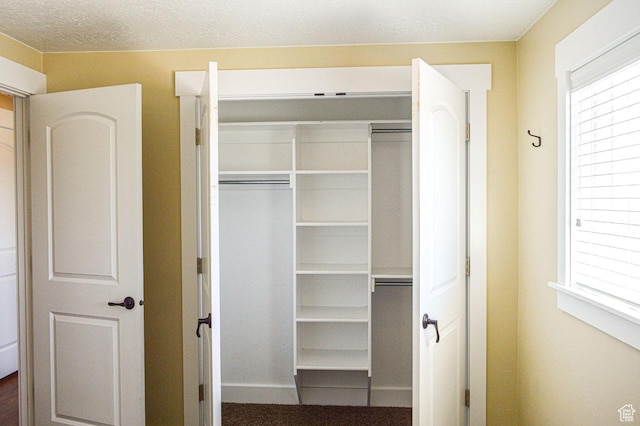 5859 E Ashley Creek Rd S, Vernal, UT 84078 - view of closet