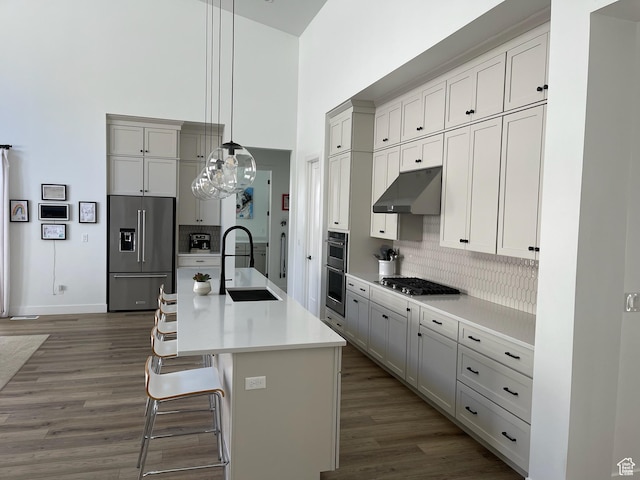 889 S Winter Ln, North Salt Lake, UT 84054 - kitchen with a sink, stainless steel appliances, wood finished floors, a towering ceiling, and under cabinet range hood