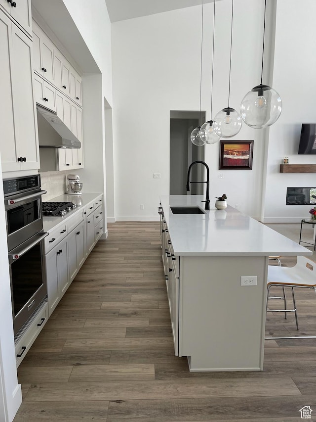 889 S Winter Ln, North Salt Lake, UT 84054 - kitchen featuring a sink, stainless steel appliances, under cabinet range hood, and dark wood finished floors