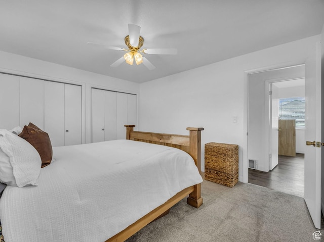 295 S 200 W, Delta, UT 84624 - bedroom featuring carpet floors, a ceiling fan, multiple closets, and visible vents
