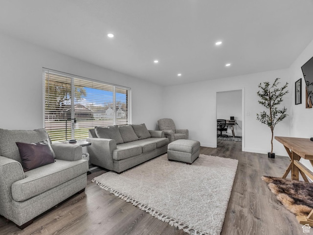 295 S 200 W, Delta, UT 84624 - living area featuring recessed lighting and dark wood finished floors