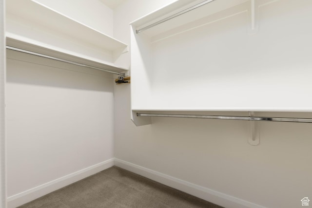 1427 N Rustico Dr, Washington, UT 84780 - spacious closet with carpet floors