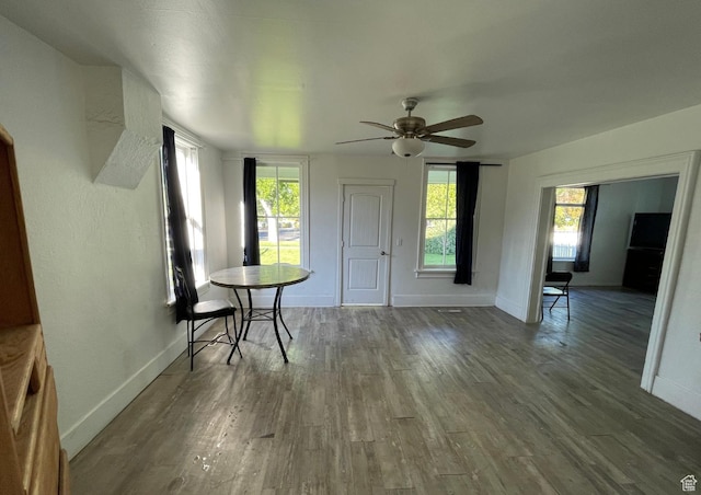 280 N Main St, Smithfield, UT 84335 - dining space featuring wood finished floors, a healthy amount of sunlight, a ceiling fan, and baseboards