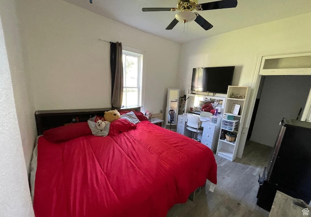 280 N Main St, Smithfield, UT 84335 - bedroom with wood finished floors and a ceiling fan