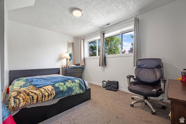 501 Valley View Dr, Tooele, UT 84074 - bedroom with carpet, visible vents, baseboards, and a textured ceiling