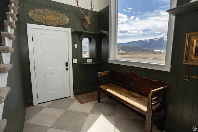 815 S Annabella Rd, Richfield, UT 84701 - entrance foyer featuring wood walls, a mountain view, and plenty of natural light