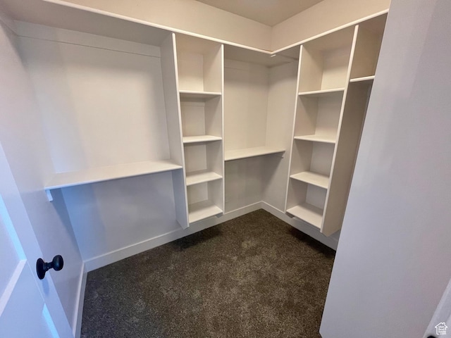 884 W Factory St, Garland, UT 84312 - spacious closet with dark carpet