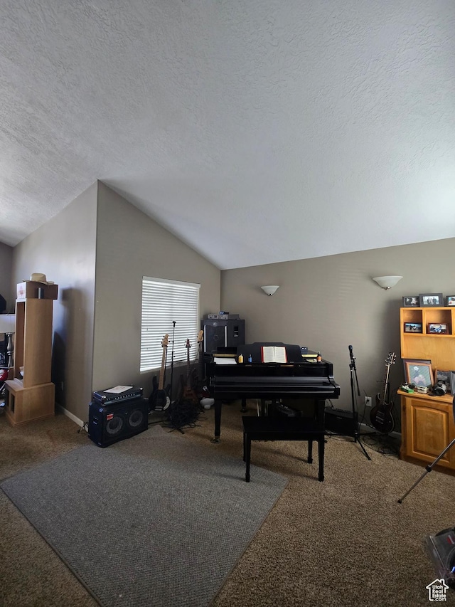 5564 S Yellow Fin Way W, Murray, UT 84107 - carpeted home office featuring lofted ceiling and a textured ceiling