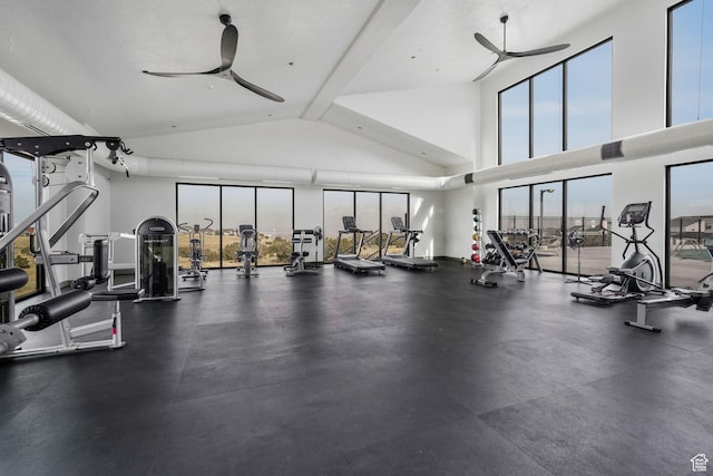 4772 W Thorntree Ln, Herriman, UT 84096 - gym with a wealth of natural light, high vaulted ceiling, and ceiling fan