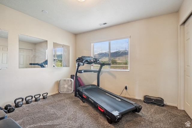 1030 S Barley Ln, Kaysville, UT 84037 - exercise area with carpet flooring, visible vents, and baseboards