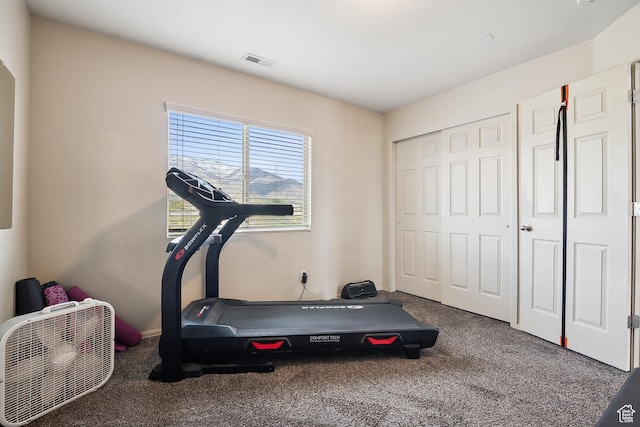 1030 S Barley Ln, Kaysville, UT 84037 - exercise area featuring visible vents, carpet flooring, and baseboards
