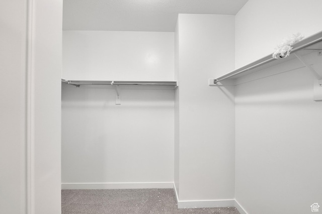 4099 W 2025 S Unit 51, Taylor, UT 84401 - spacious closet with carpet flooring
