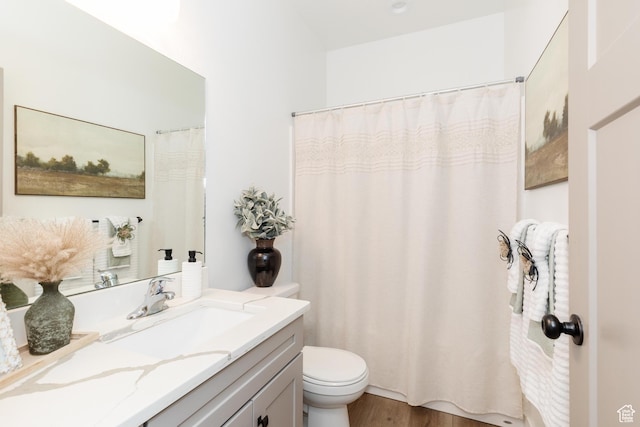 1076 E 300 S, Smithfield, UT 84335 - bathroom with vanity, wood finished floors, toilet, and a shower with curtain