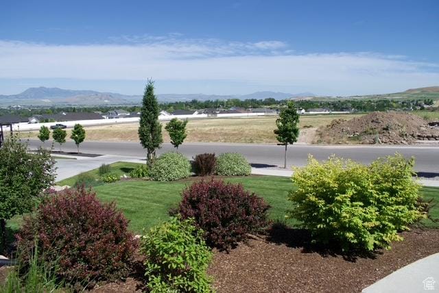 1076 E 300 S, Smithfield, UT 84335 - exterior space with a yard and a mountain view