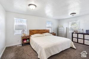 2959 S 9200 W, Magna, UT 84044 - carpeted bedroom with baseboards