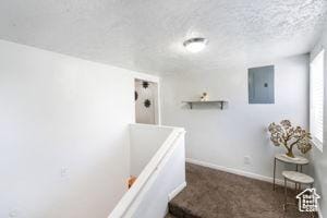 2959 S 9200 W, Magna, UT 84044 - interior space featuring a textured ceiling, carpet flooring, electric panel, and baseboards
