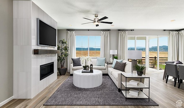 2074 S 3940 W Unit 11, Taylor, UT 84401 - living room with light wood finished floors, a glass covered fireplace, healthy amount of natural light, and ceiling fan