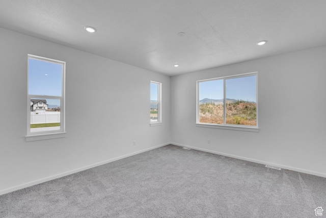 2074 S 3940 W Unit 11, Taylor, UT 84401 - spare room with recessed lighting and carpet flooring