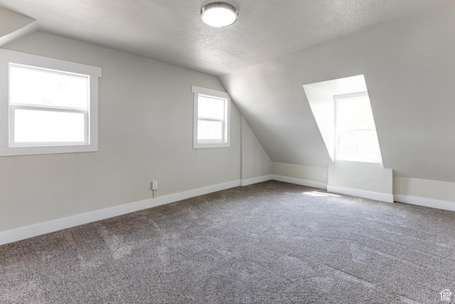 263 N 100 E, Springville, UT 84663 - bonus room featuring lofted ceiling, a textured ceiling, baseboards, and carpet floors