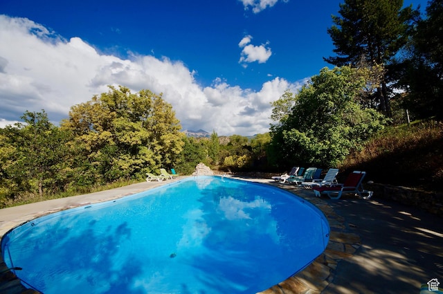 315 Abbey Rd, Moab, UT 84532 - outdoor pool with a patio area