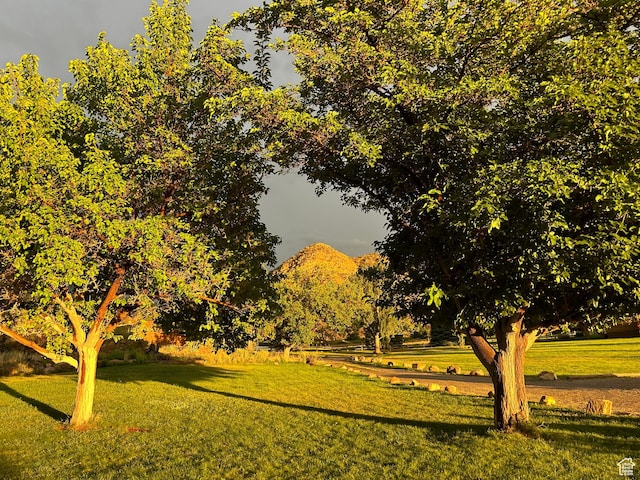 315 Abbey Rd, Moab, UT 84532 - view of property's community with a lawn and a mountain view