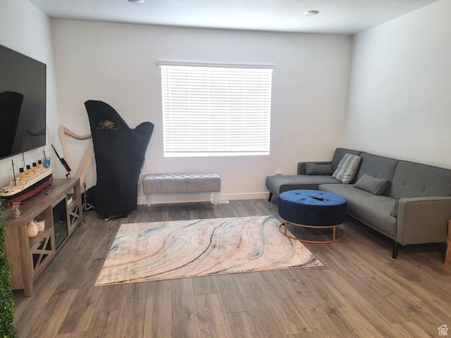 1146 W 310 S, American Fork, UT 84003 - living area featuring wood finished floors