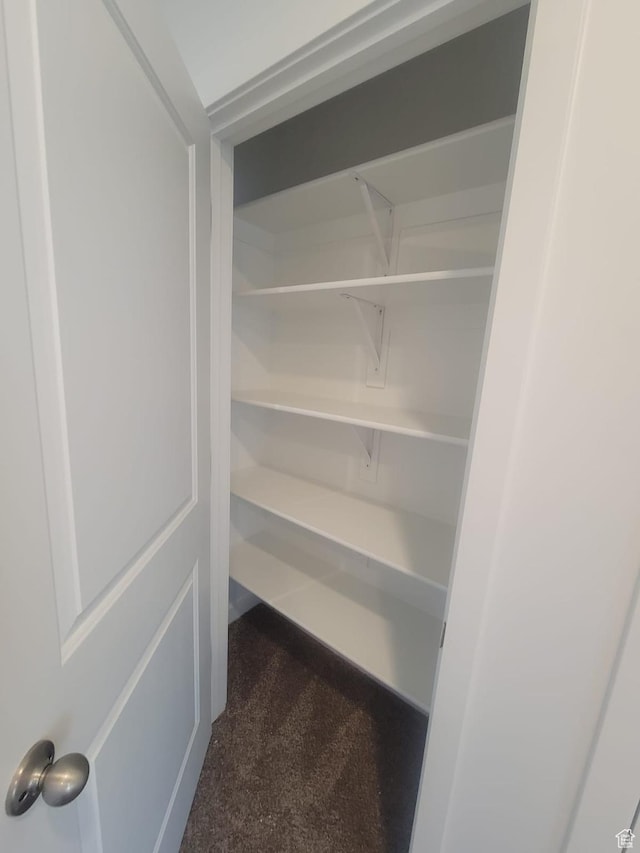 1146 W 310 S, American Fork, UT 84003 - view of closet