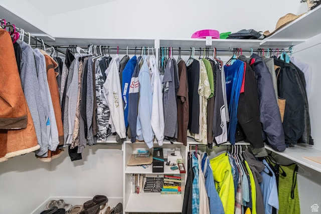 9568 N 5600 W, Elwood, UT 84337 - view of walk in closet