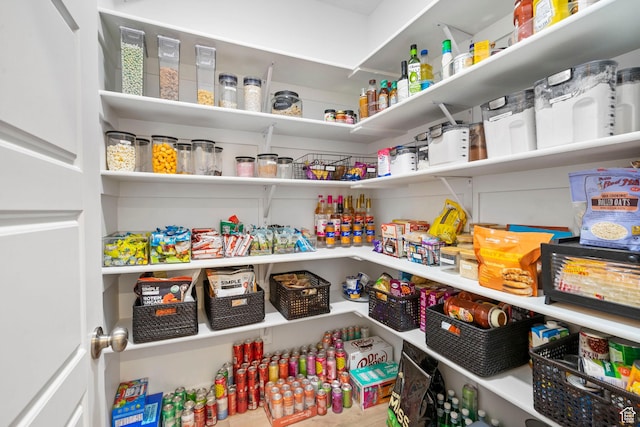 2862 S Preening Way, Saratoga Springs, UT 84045 - view of pantry
