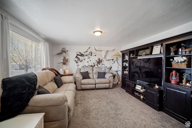 537 E 650 N, Roosevelt, UT 84066 - carpeted living area with a textured ceiling