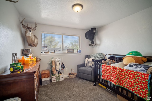 537 E 650 N, Roosevelt, UT 84066 - bedroom featuring a textured ceiling and carpet flooring